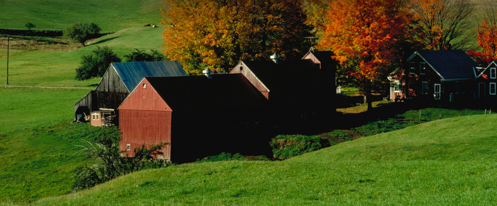 Communities of Farmhouse - Harper Realty, Inc.